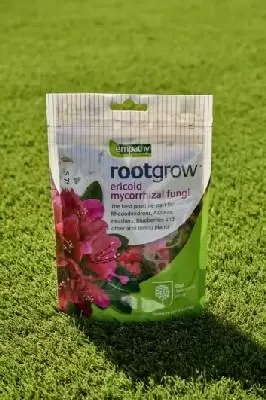 Rootgrow Ericoid Mycorrhizal Fungi