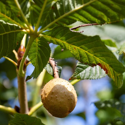 provender-product