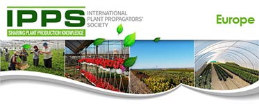 IPPS