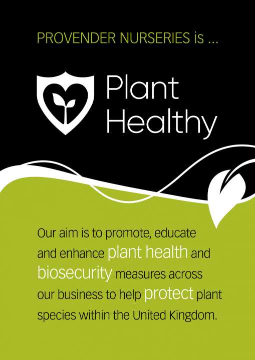 Plant Healthy Poster