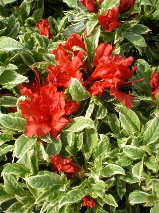 provender-product