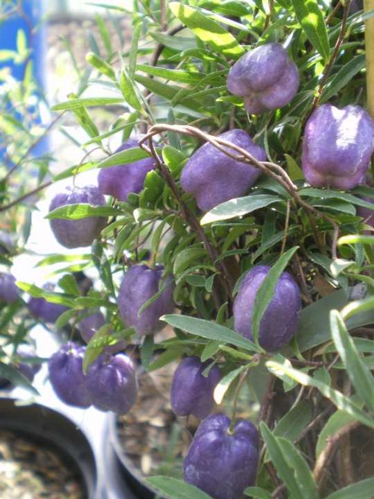 provender-product