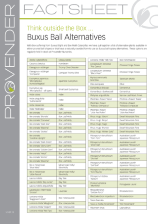 Buxus Ball Alternatives