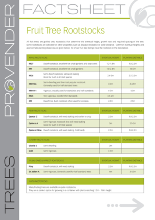 Fruit Tree Rootstocks Explained