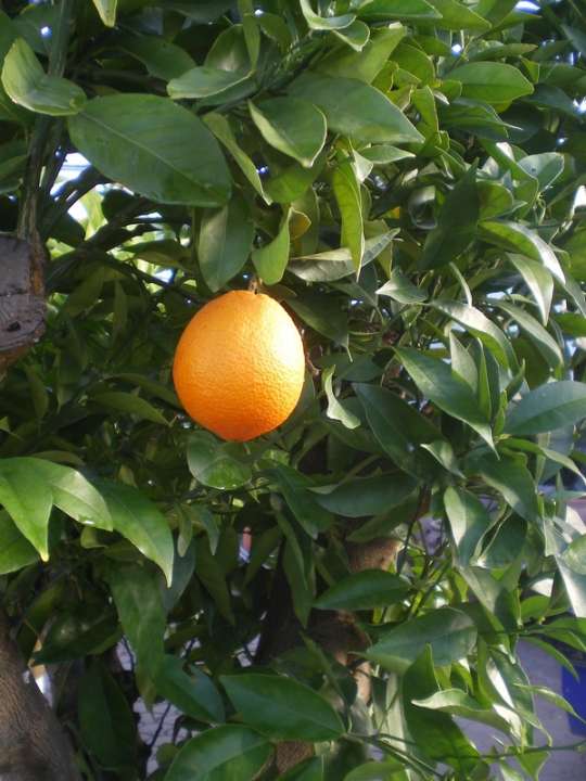 provender-product