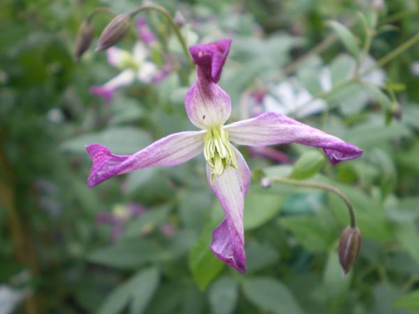 provender-product
