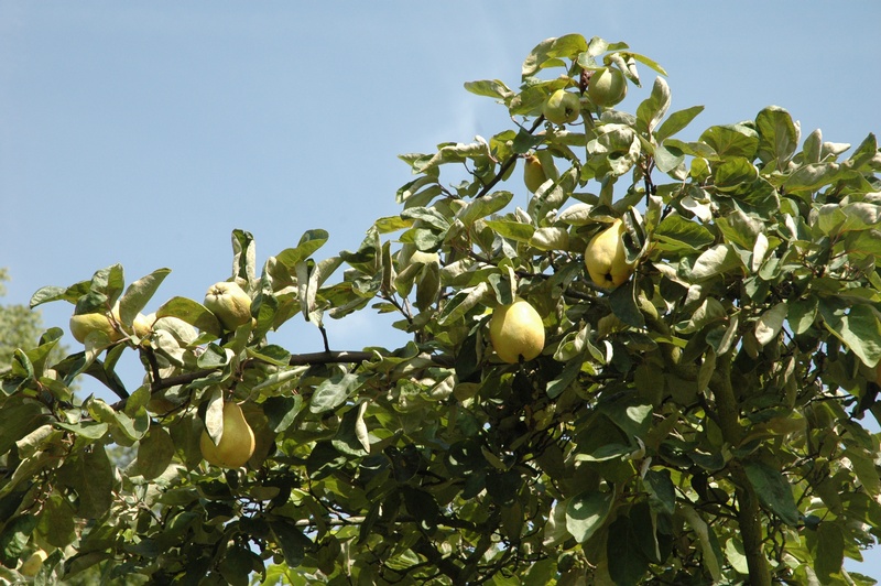 provender-product