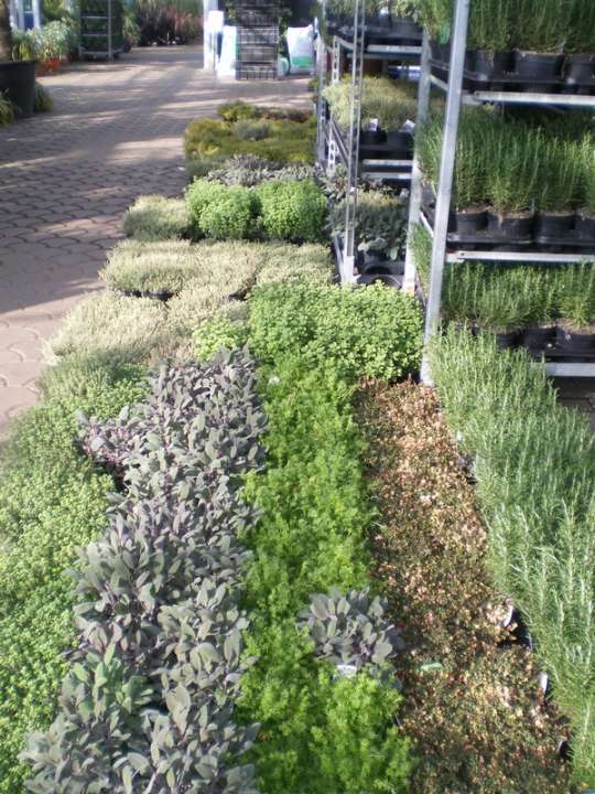 provender-product