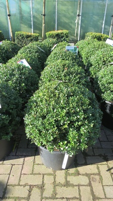 provender-product