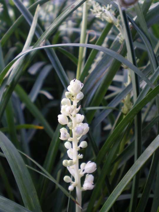 provender-product