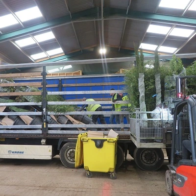 Border Control Point (BCP)