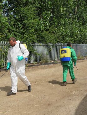 Details of exciting activities for trade customers at Provender Nurseries, a prominent plant nursery.