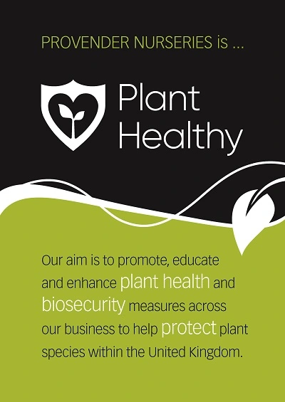 Plant Healthy