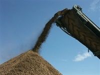 Soils Soils