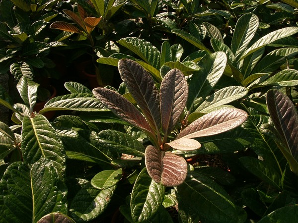 provender-product