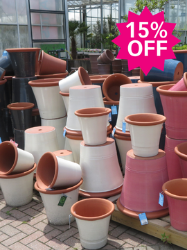 15% off the following