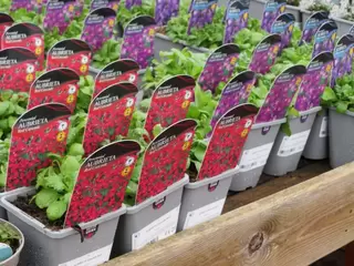 1L Herbaceous stock now in