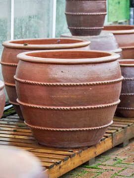 20% OFF ALL POTS – FINAL REMINDER.