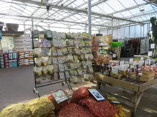 Bulk bags of spring flowering bulbs