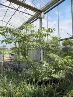 Calling all plant lovers