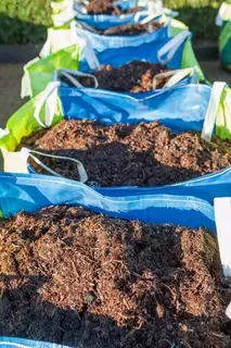 Condition your Soil with Good Old Fashioned Horse Manure