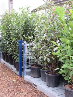 Container Hedging
