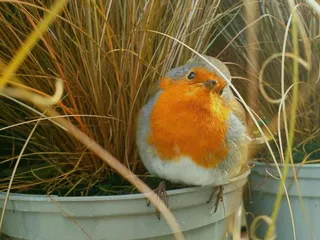 Early bird 7am opening