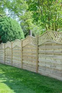Fence and Trellis all in One