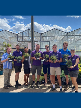 Fulham Palace Trust visit Provender Nurseries
