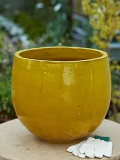 Glazed pots