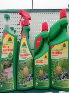 GOING GREEN.  Killing Weeds the Harmless Way