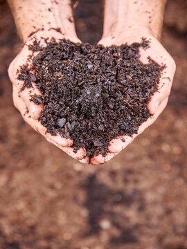 Irrigation and Mulch