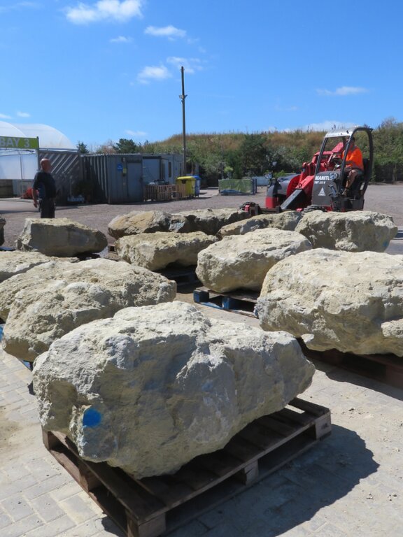 Kent Ragstone Texture In-Depth News for Trade Customers | Provender Nurseries - Provender ...