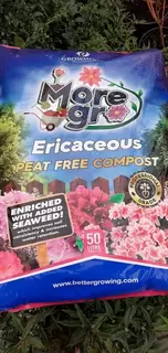 NEW – Spotlight On Peat-Free Ericaceous compost