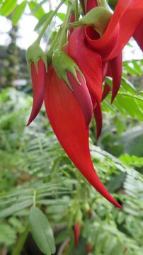 Not something you see every day