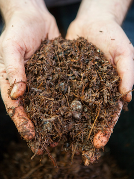Now is the perfect time for mulching