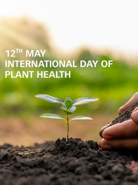 Plant Health Day - Our Tips For You