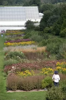 Professional Elliots Fertilisers