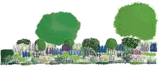 Provender Nurseries announces Capel Manor College design student as winner of competition