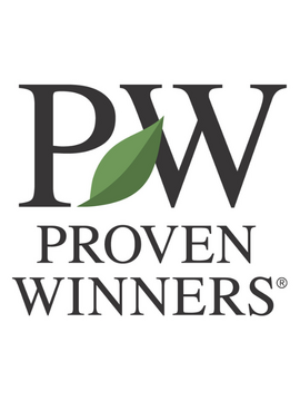 Provender Nurseries are now selling Proven Winners® herbaceous perennials!
