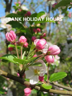 Provender Nurseries bank holiday hours...