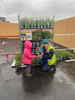 Provender Nurseries collaboration with Ebbsfleet Development Corporation in great tree giveaway