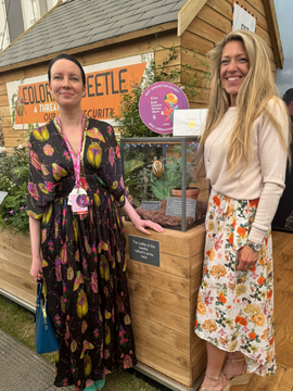 Provender Nurseries take on RHS Chelsea Flower Show 2025!