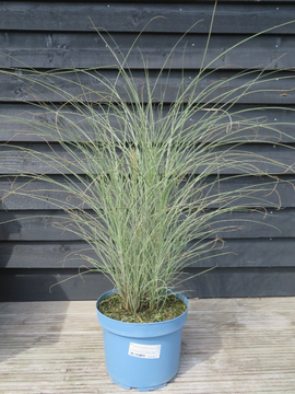 September & October Offers