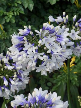 Spotlight On Summer Favourites
