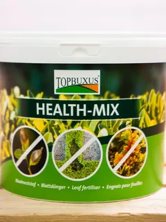 Time for Topbuxus