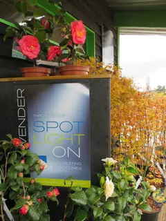 We have updated our Spotlight On!