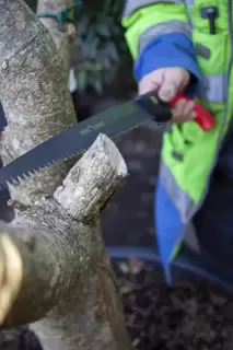 We’ll help you cut it