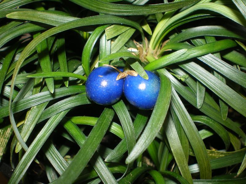 provender-product