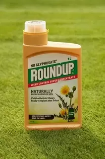 Going Green